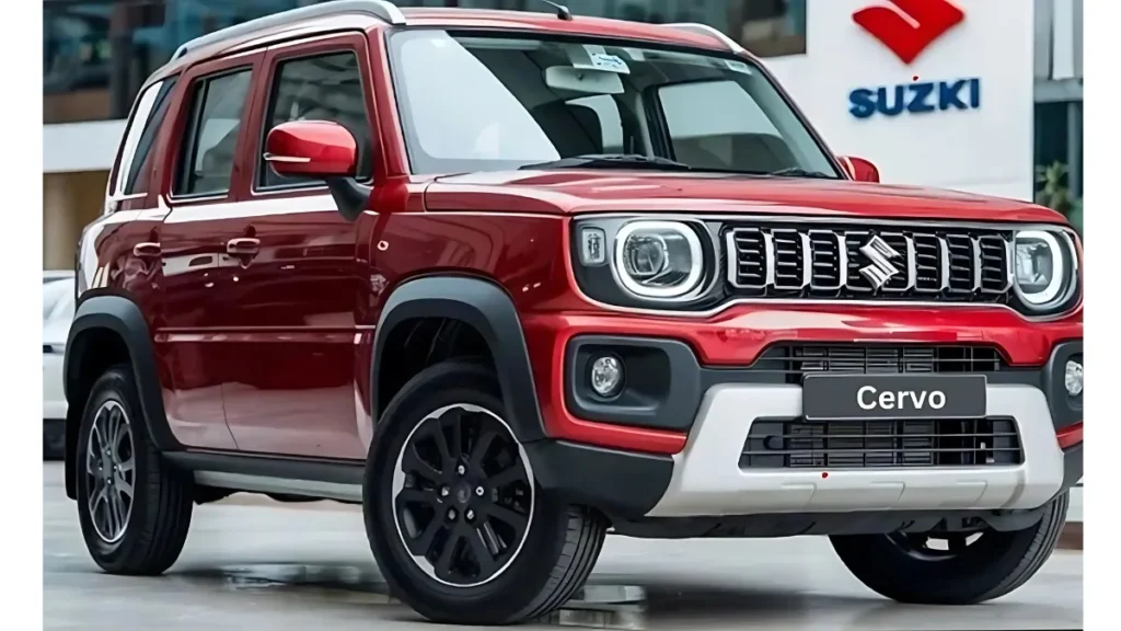 MARUTI CERVO